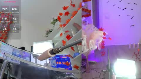 INSTAGRAM     bekkercat  online show from November 6, 12:28 pm