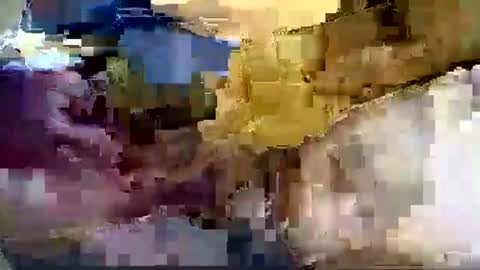 Nane online show from January 8, 12:51 pm