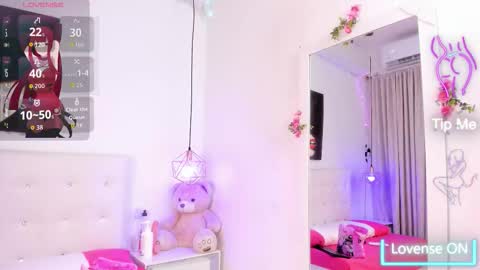 Snapshot of nara_pink chatting on November 27, 1:02 pm nara_pink online show from November 27, 1:02 pm