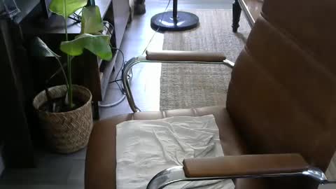 nareth338 online show from September 19, 8:42 pm