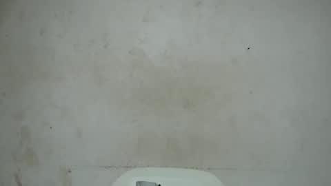 nastyhairy7 online show from October 29, 4:15 am