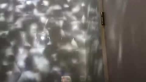 nastysubs69 online show from December 25, 12:27 am