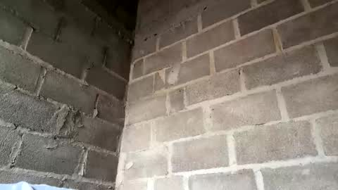 Snapshot of natasha__magics chatting on February 1, 5:11 pm natasha__magics online show from February 1, 5:11 pm