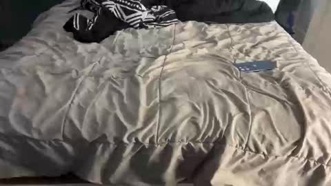 nativesancho online show from February 1, 1:31 pm