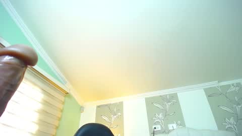 Kitten online show from January 8, 2:03 pm