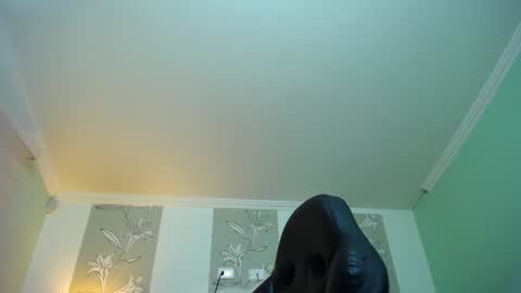 Kitten online show from January 12, 11:28 am