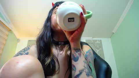 Kitten online show from January 12, 2:30 pm