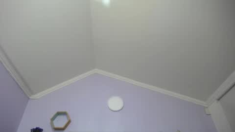 Kitten online show from January 25, 11:34 am