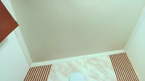 Kitten online show from October 18, 10:27 am