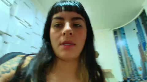 Kitten online show from February 11, 10:42 am