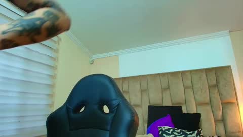 Kitten online show from March 3, 11:16 am