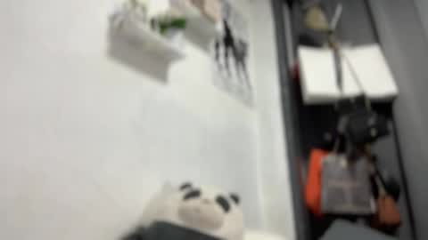 Snapshot of naughtymira888 chatting on April 2, 1:47 am your girlfriend mira online show from April 2, 1:47 am