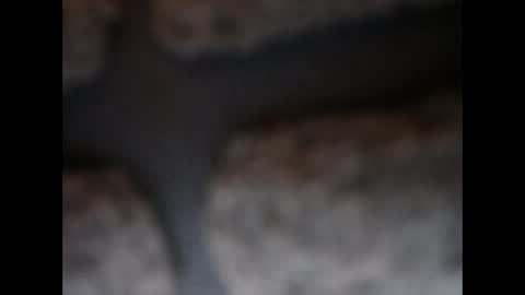 Snapshot of naughtypanties123 chatting on March 11, 6:08 am naughtypanties123 online show from March 11, 6:08 am