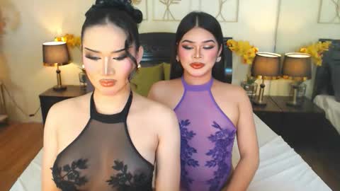 F R A N Z I A online show from November 16, 5:07 pm