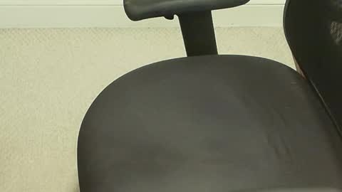 needypr0ject online show from March 24, 4:34 pm