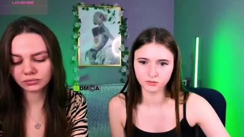 Meow online show from November 29, 11:35 am