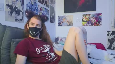 Neko online show from October 12, 12:48 pm