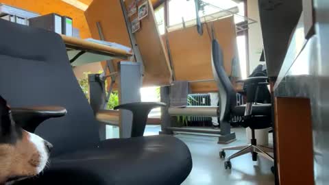 neneo21_ online show from January 13, 9:19 am