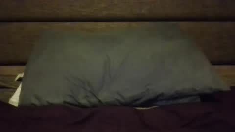 Snapshot of nerfylil2 chatting on January 8, 4:37 am Nerfylil online show from January 8, 4:37 am