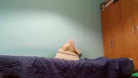 Snapshot of nes90b chatting on December 15, 3:00 am nes90b online show from December 15, 3:00 am