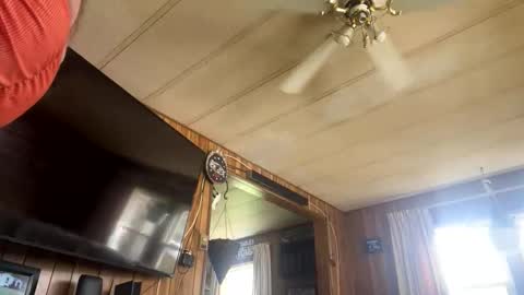 Snapshot of neversaynevrrr chatting on November 1, 5:37 pm neversaynevrrr online show from November 1, 5:37 pm