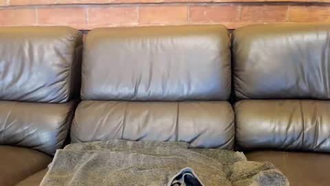 Matilda online show from December 4, 11:52 am