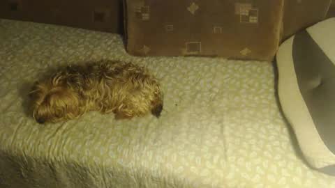 Snapshot of new_milf chatting on October 22, 2:45 am Lilly  online show from October 22, 2:45 am