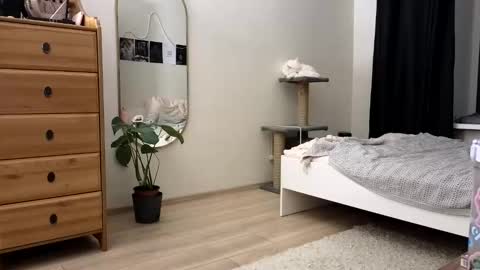 Snapshot of newproject_ chatting on November 11, 4:18 pm Nova online show from November 11, 4:18 pm