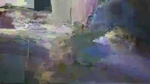 niceausbloke online show from March 27, 10:04 am