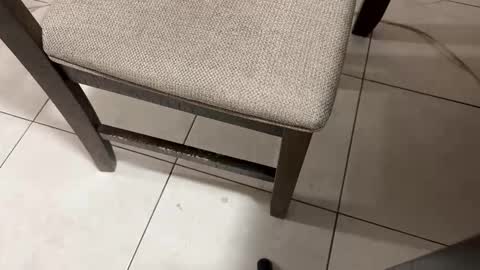 Snapshot of nicocar83 chatting on March 5, 9:38 am Carlos Nico online show from March 5, 9:38 am