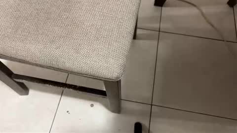 Snapshot of nicocar83 chatting on March 14, 8:31 am Carlos Nico online show from March 14, 8:31 am