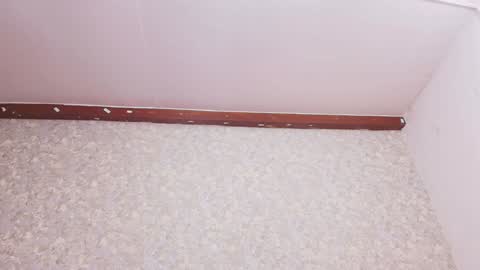 Nicol online show from December 16, 7:21 pm