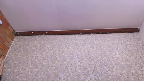 Nicol online show from January 11, 7:16 pm