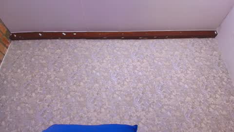 Nicol online show from January 13, 7:10 pm