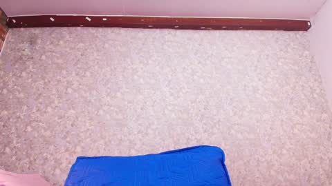 Nicol online show from January 24, 7:39 pm