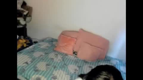 Snapshot of nicolefluffypussy chatting on February 15, 6:15 pm Nicole jaymes online show from February 15, 6:15 pm