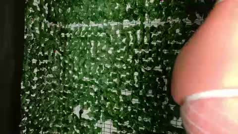 nicoleirisxxx online show from July 3, 5:36 am