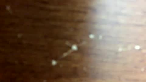 Snapshot of nightmoves1970 chatting on October 14, 2:45 am nightmoves1970 online show from October 14, 2:45 am