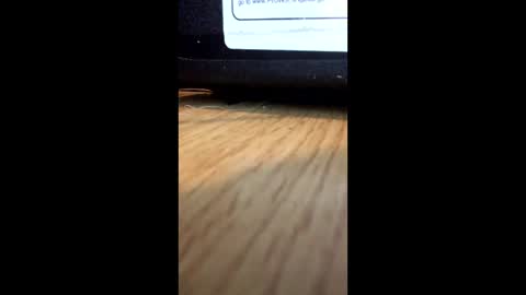 Snapshot of nightmoves1970 chatting on December 2, 1:00 am nightmoves1970 online show from December 2, 1:00 am