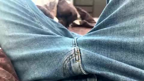 NIk online show from February 25, 10:47 am