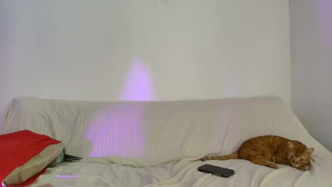 nikki_uwu online show from June 2, 8:00 pm