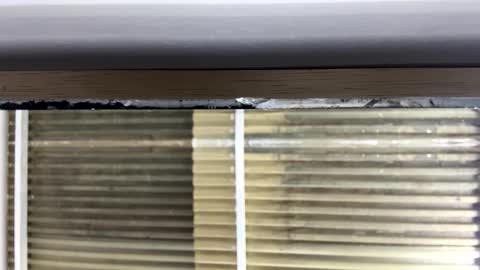 Snapshot of nikkii_vegaa chatting on October 14, 3:07 am Nikki online show from October 14, 3:07 am