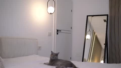 Snapshot of nikkimagic chatting on July 6, 6:43 am Nicole online show from July 6, 6:43 am