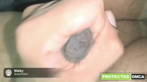 Snapshot of nikkynickpussylover chatting on December 16, 2:49 am NikkynickGooner online show from December 16, 2:49 am