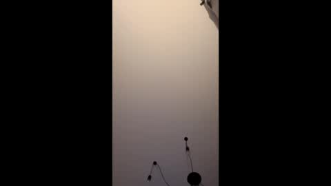 Snapshot of niko1112 chatting on January 16, 12:14 am neighbours online show from January 16, 12:14 am