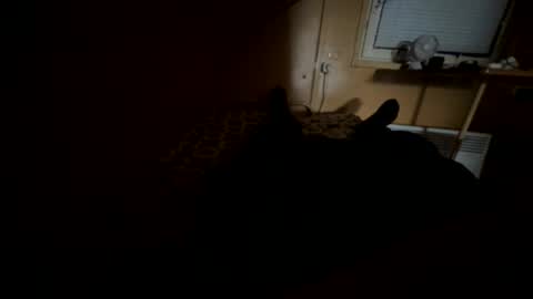 Snapshot of nikolay3032 chatting on September 20, 8:37 am Nikk online show from September 20, 8:37 am