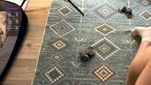 Snapshot of nimfaheart chatting on December 2, 7:49 pm Jennet online show from December 2, 7:49 pm