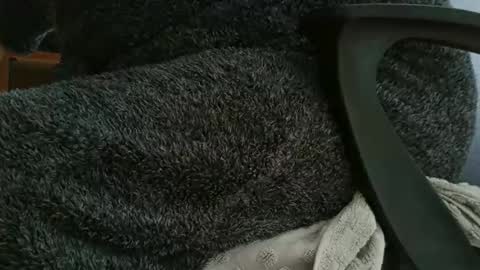 nineinchhard online show from October 12, 11:09 am