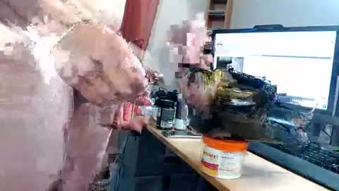 ninetynine_99 online show from June 17, 5:25 pm