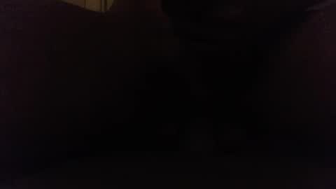 Snapshot of ninjadance chatting on October 8, 8:12 am Ninjadance online show from October 8, 8:12 am